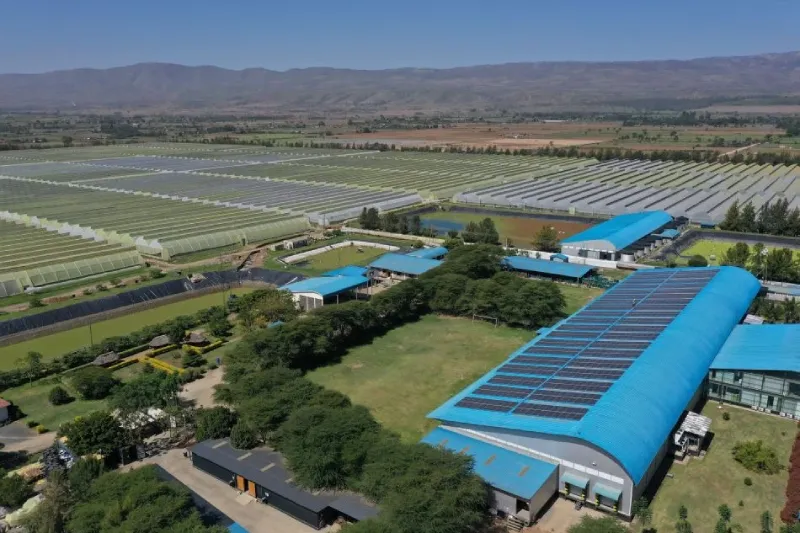 Grüne Solar- und Batteriesysteme für Unternehmen in Ostafrika