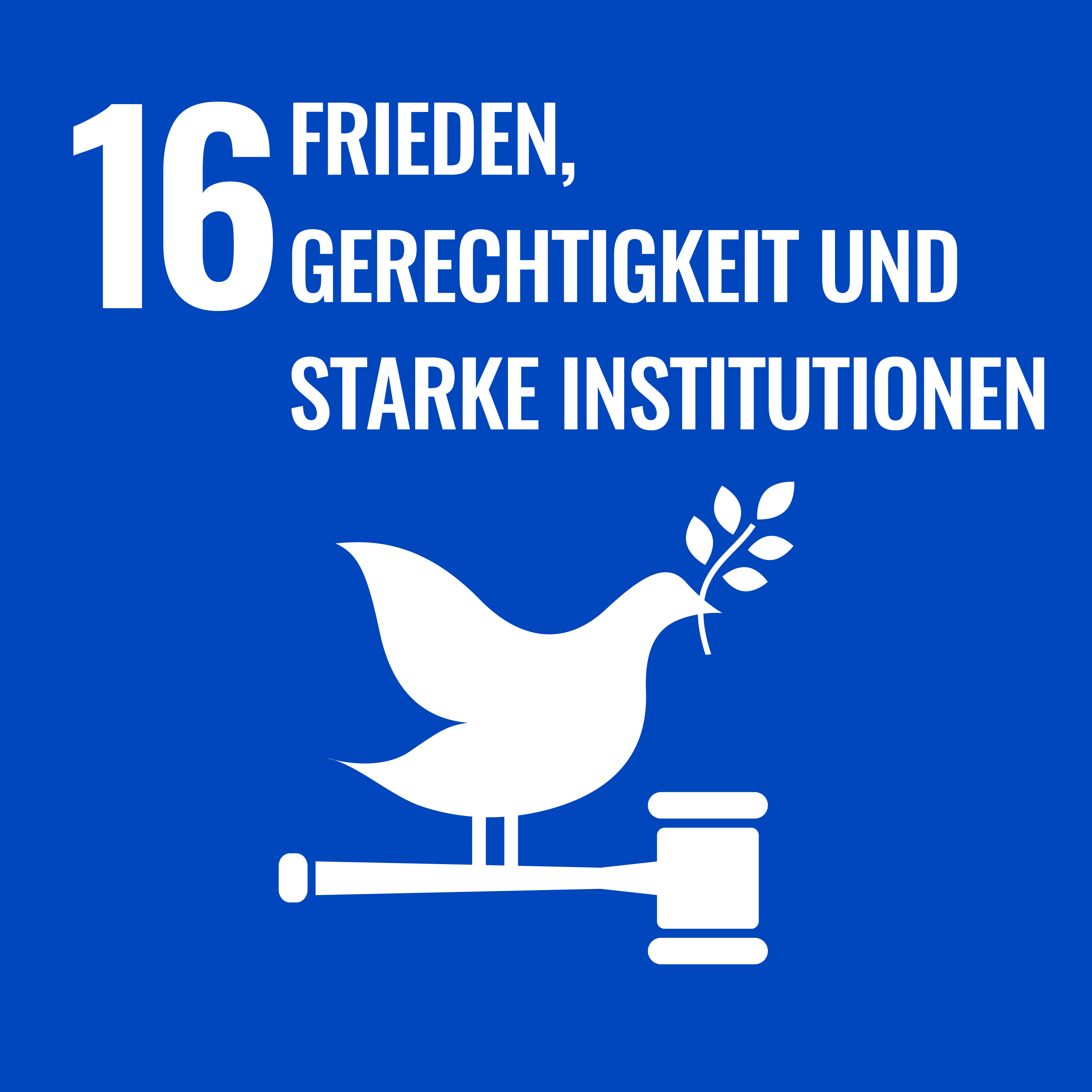 SDG 16 - Frieden, Gerechtigkeit und starke Institutionen