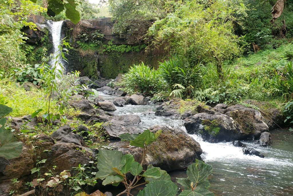 Hydrobox - zwei Wasserkraftanlagen in Kenia
