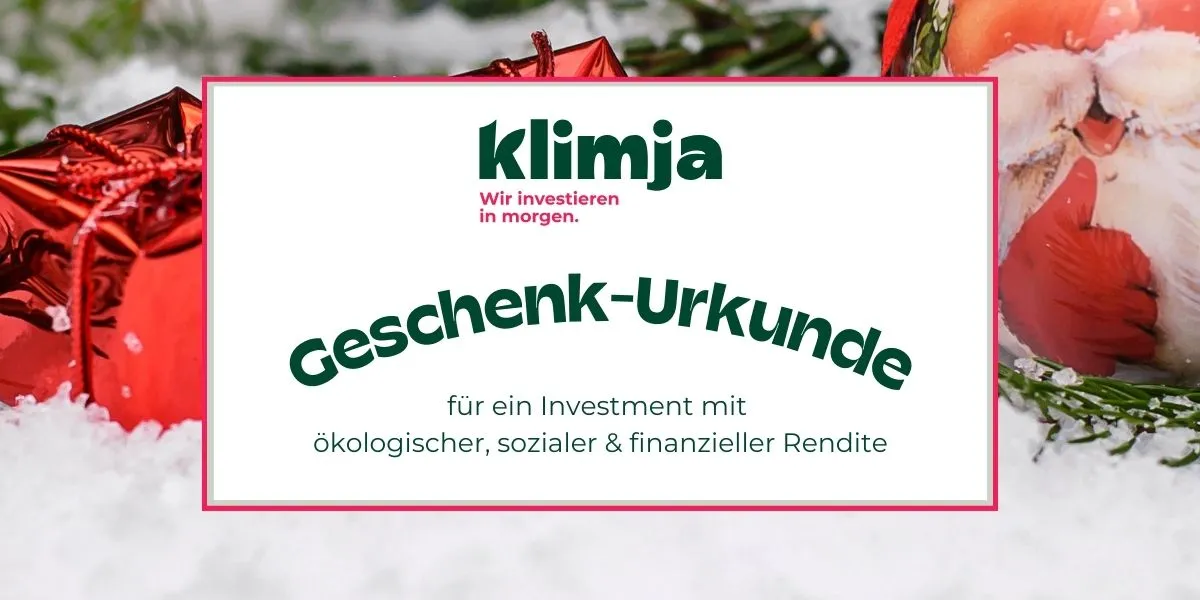 klimja Investment als Weihnachtsgeschenk