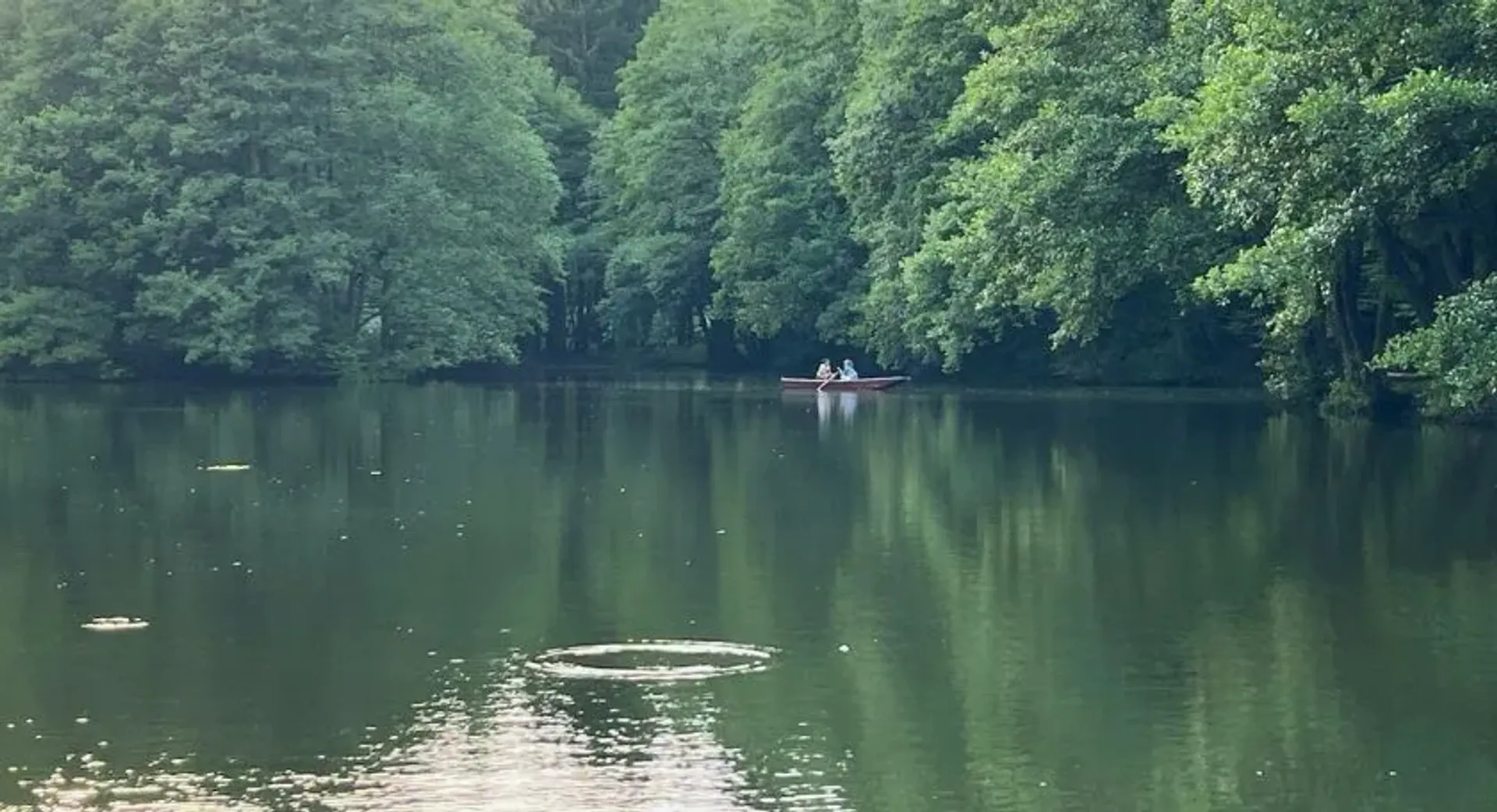 Waldsee im Sommer