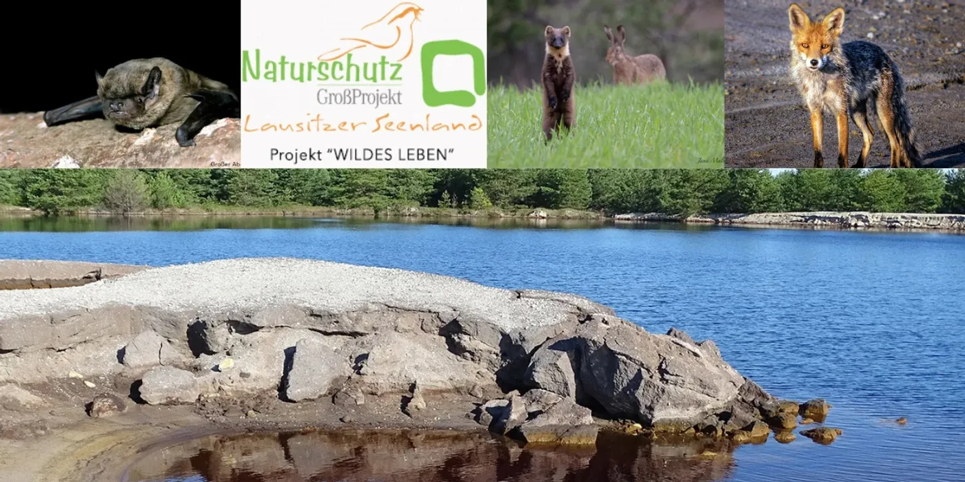 Spendenprojekt Lausitz