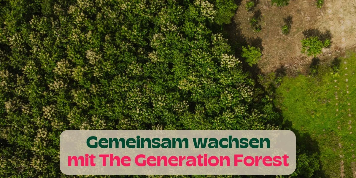 Gemeinsam Wachsen mit The Generation Forest