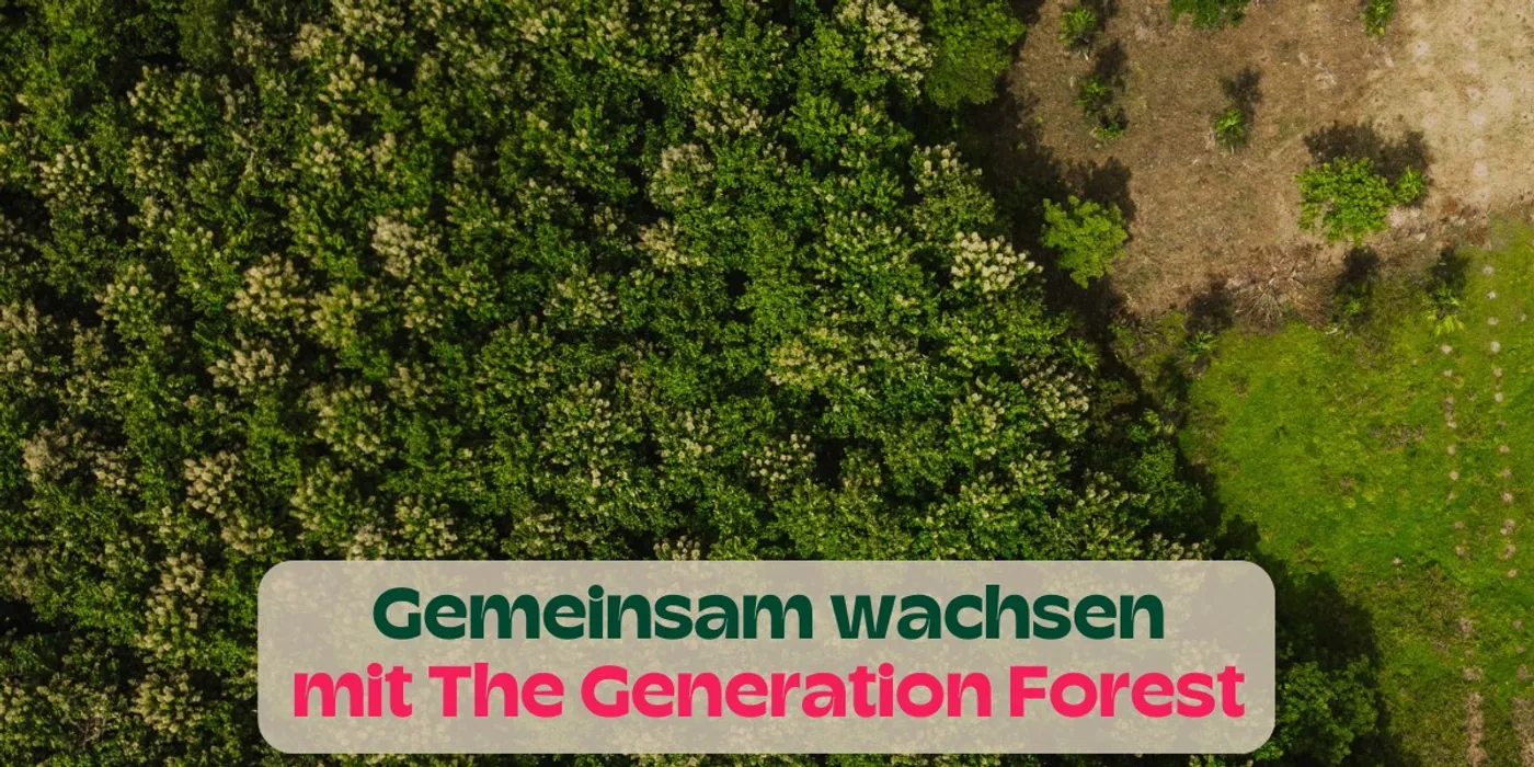 Gemeinsam Wachsen mit The Generation Forest