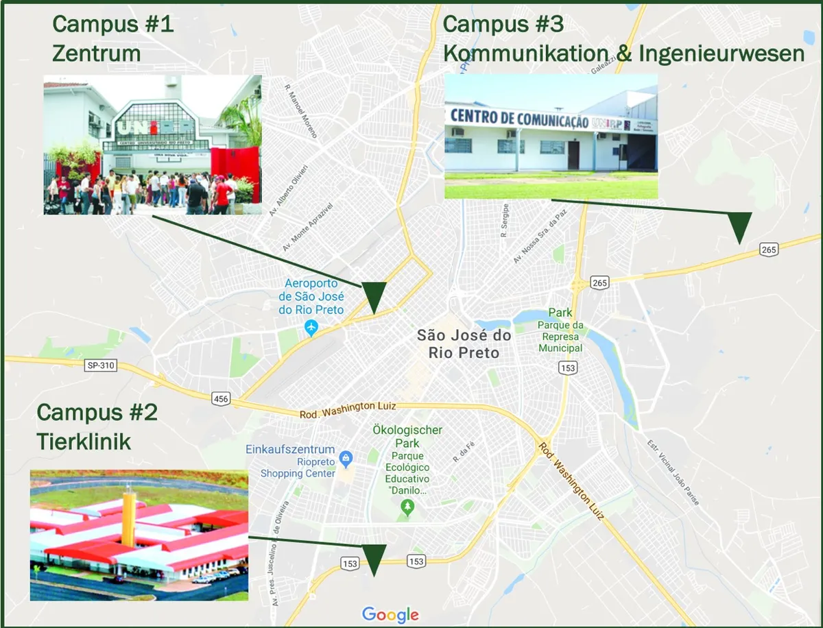 Projektbeschreibung