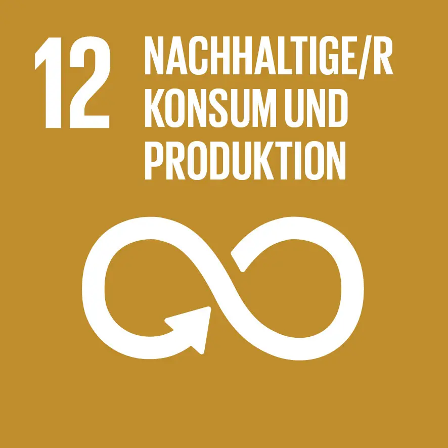 SDG 12 - Nachhaltige/r Konsum & Produktion