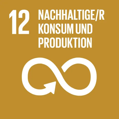 SDG 12 - Nachhaltige/r Konsum & Produktion