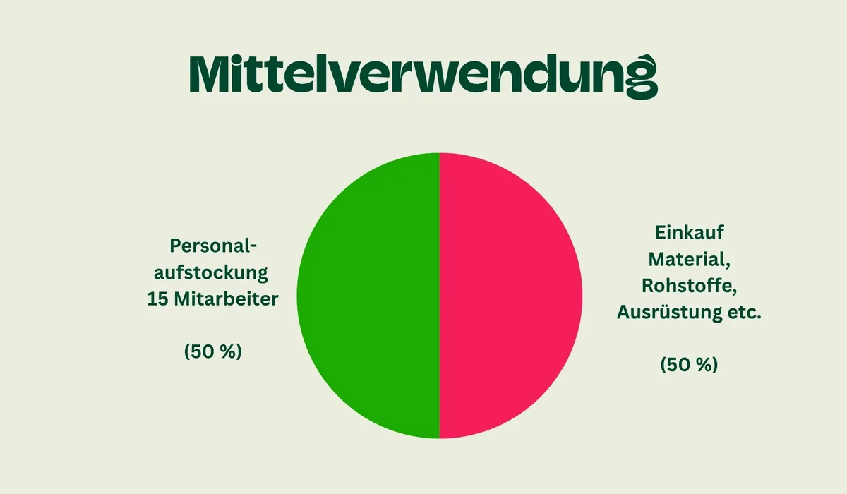 Mittelverwendung