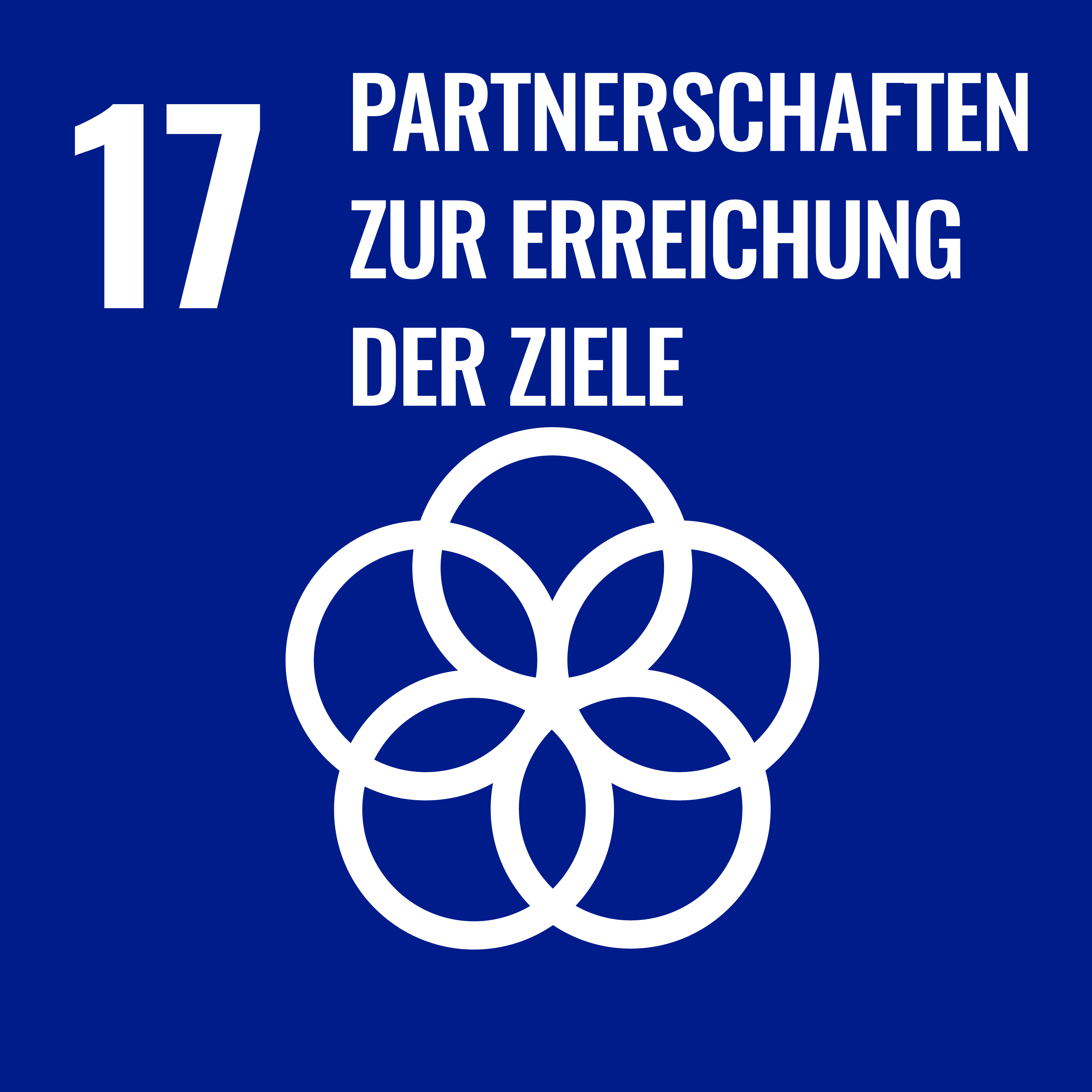 SDG 17 - Partnerschaften zur Erreichung der Ziele